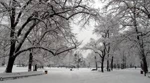 piano neve stagione invernale 2019 - 2020