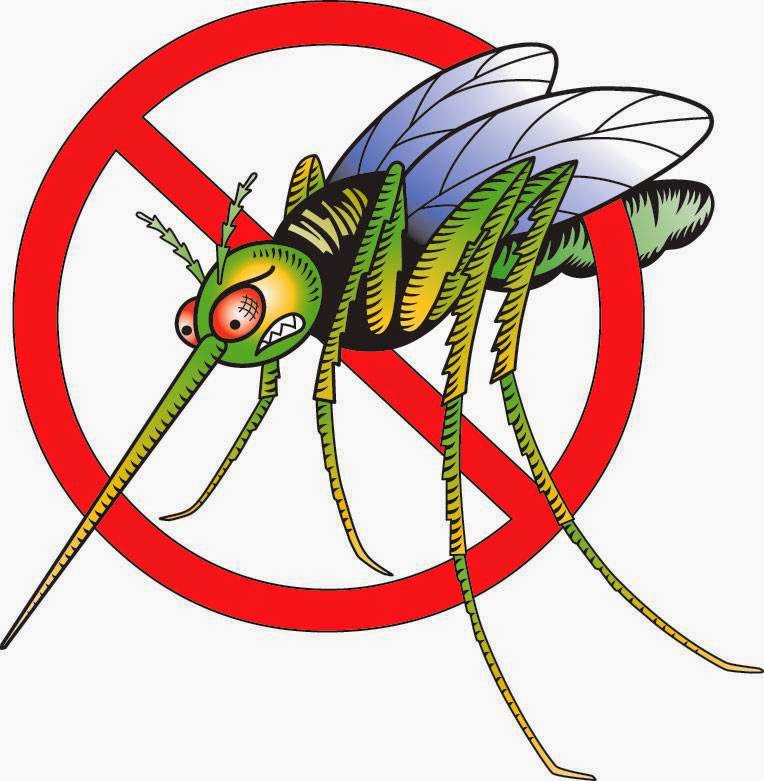 disinfestazione verde pubblico