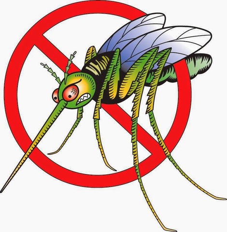 rimedi-contro-le-zanzare-0